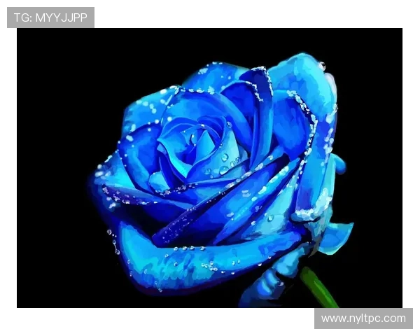 《蓝色妖姬》：一场关于爱与守护的蓝色梦境